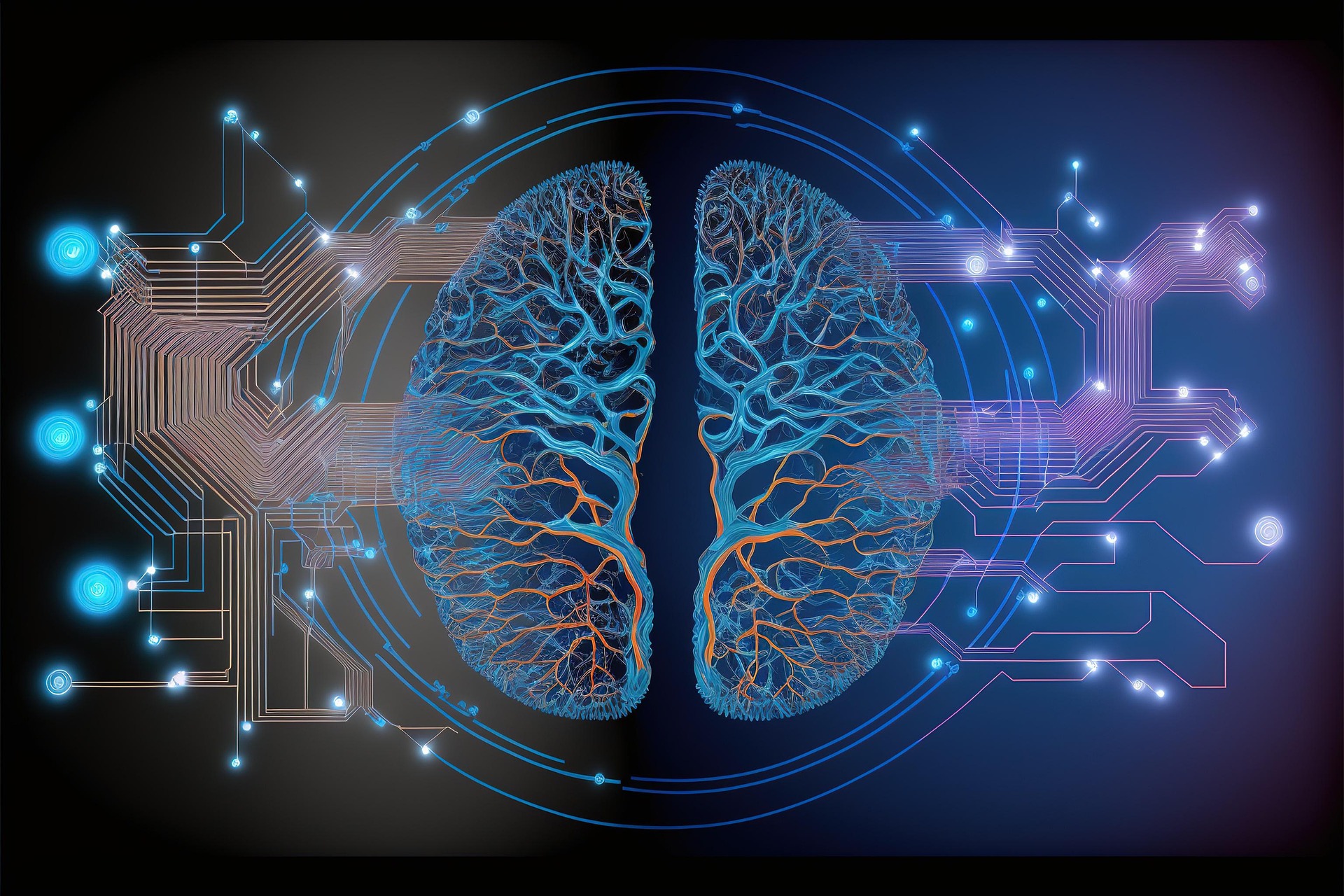 좌우뇌 균형지수(CQ: Correlation Quotient)의 의미와 뇌의 조화 평가
